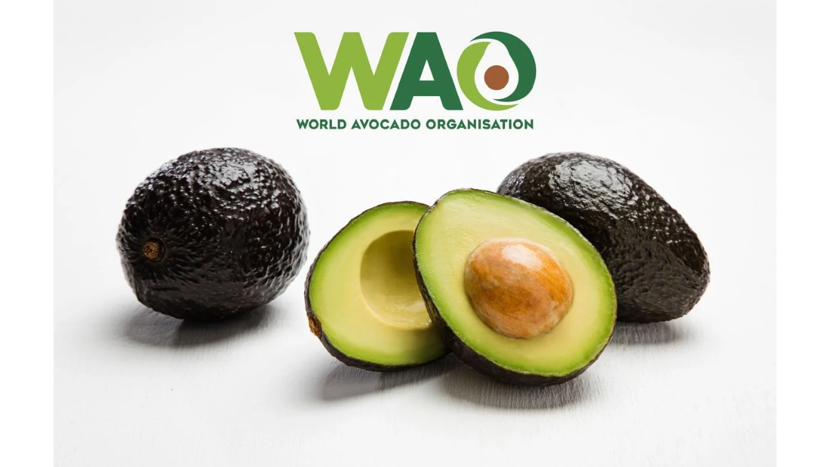 After the Festive Feasting: Could Avocado Be Your Everyday Meal Upgrade?